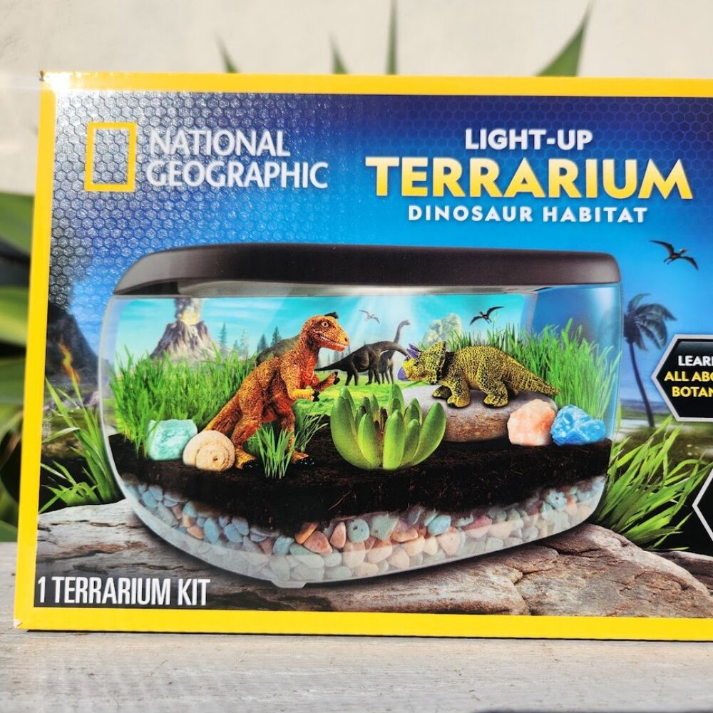 National Geographic Light up Terrarium Kit Fossils Science Plants Night Light